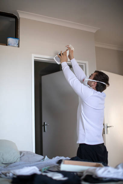 Best Mold Damage Restoration  in Washburn, IL