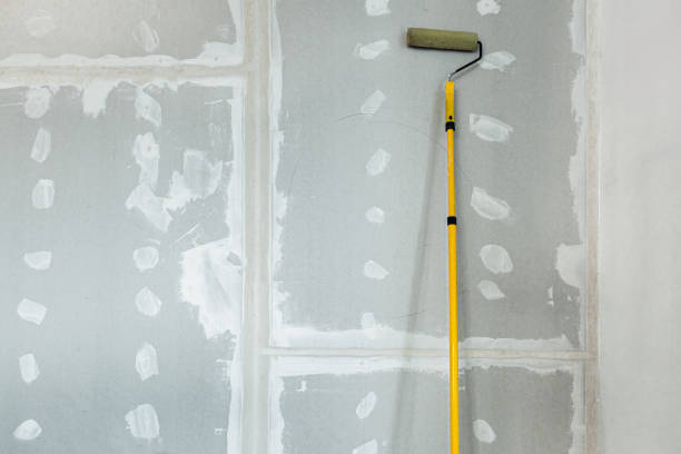 Best Crawl Space Mold Remediation  in Washburn, IL