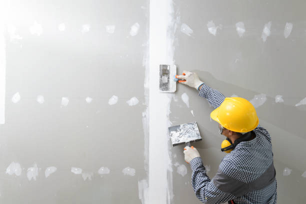 Best Mold Odor Removal Services  in Washburn, IL