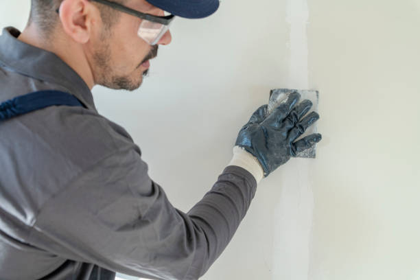Best Biohazard Mold Removal  in Washburn, IL