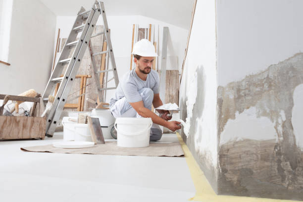 Best Attic Mold Removal  in Washburn, IL