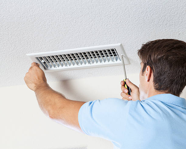Best Mold Documentation for Insurance Claims  in Washburn, IL
