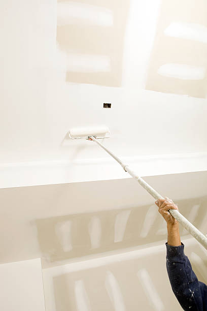 Best Mold Remediation for Healthcare Facilities  in Washburn, IL