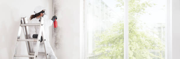 Best Air Quality Testing for Mold Spores  in Washburn, IL